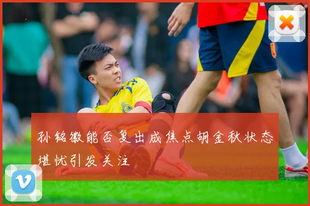 孙铭徽能否复出成焦点胡金秋状态堪忧引发关注